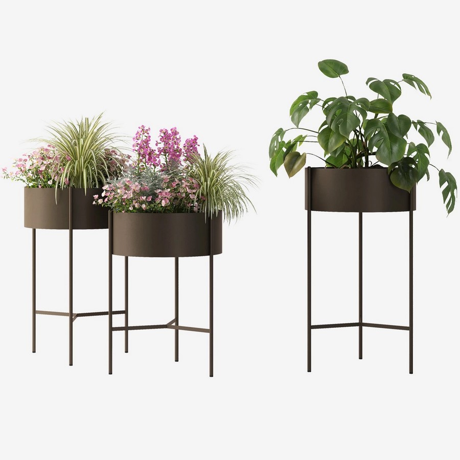 romeo-kvetinac-tonin-1