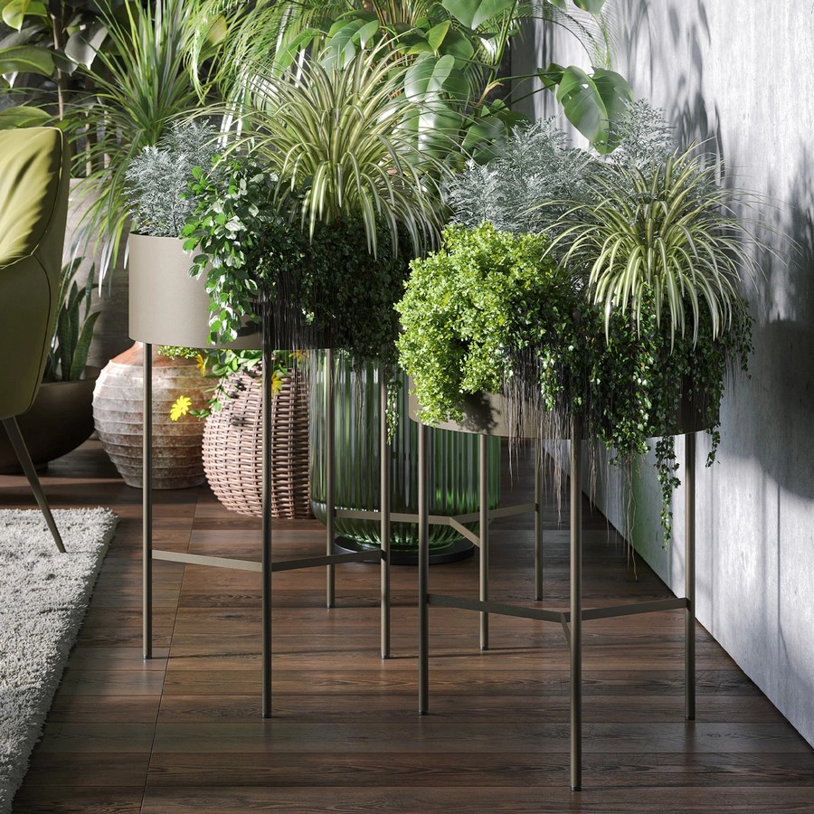 romeo-kvetinac-tonin-2